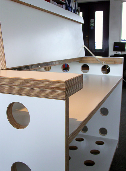 Laminated plywood server cabinet with hinged access panel